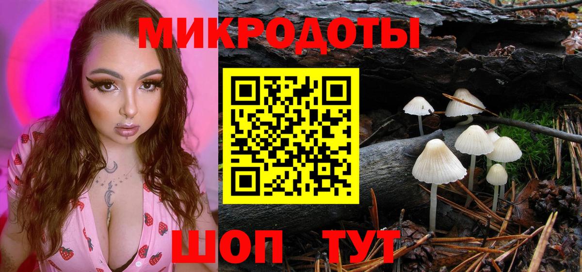 закладки  Вход с VPN  Вышний Волочёк  Псилоцибиновые грибы GOLDEN TEACHER  Галлюциногенные грибы MAGIC MUSHROOMS 