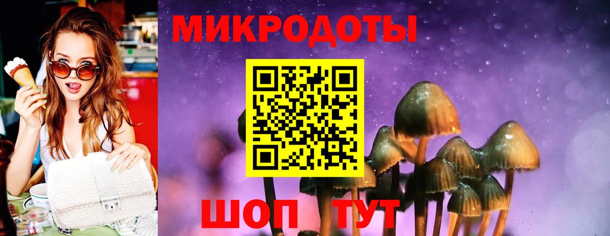 Галлюциногенные грибы Psilocybine cubensis Вышний Волочёк